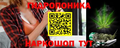 СК Обь