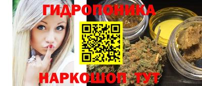 СК Обь